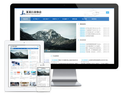 響應式安防協(xié)會網(wǎng)站模板易優(yōu)cms網(wǎng)站源碼模板