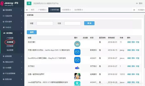 Jeecg首個開源插件CMS網站插件1.0正式發布